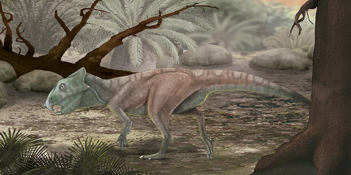 Meet These 10 Herbivorous Dinosaurs | Dinosaurland