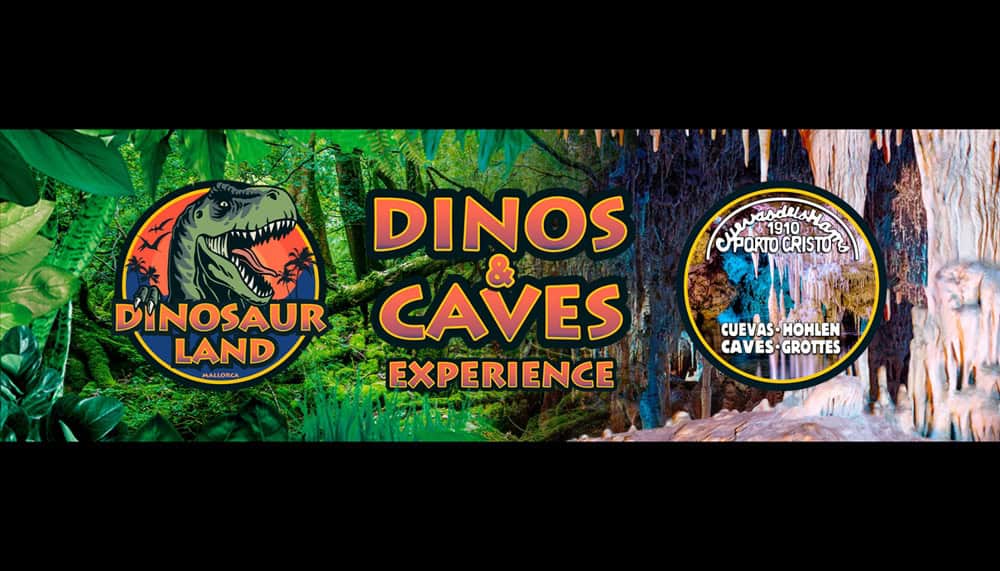 Preguntas frecuentes sobre las entradas de Dinosaurland