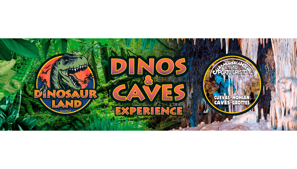 Preguntas frecuentes sobre las entradas de Dinosaurland