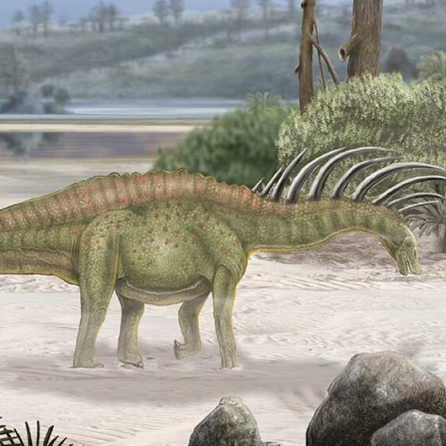 Dinosaurio Bajadasaurus