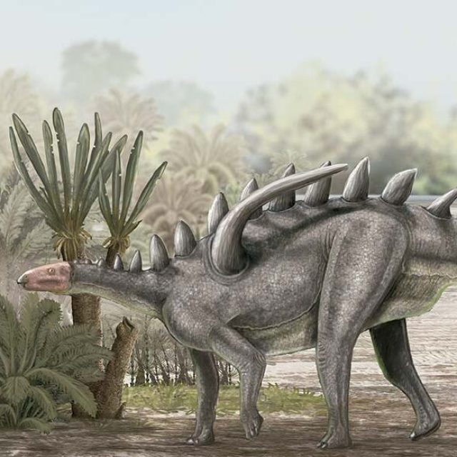 Dinosaurio Gigantspinosaurus