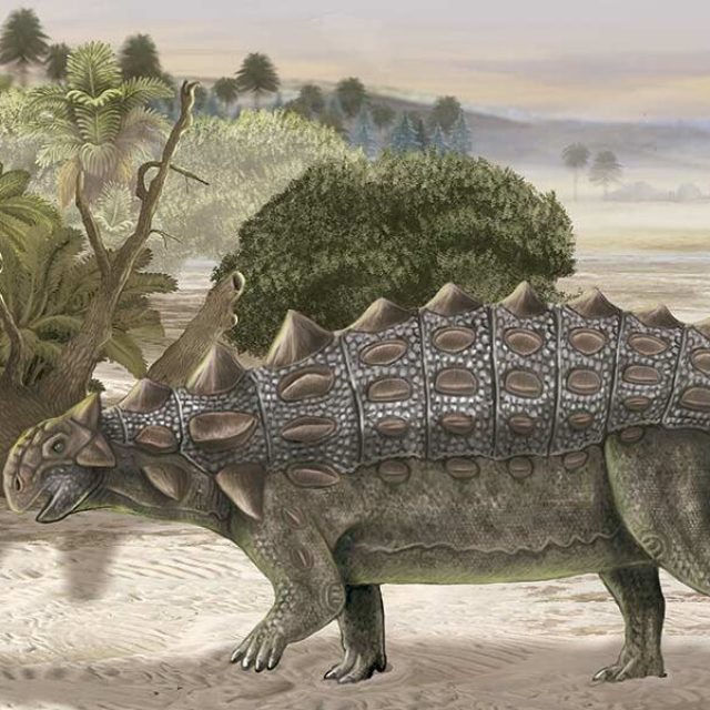 Dinosaurio Ankylosaurus