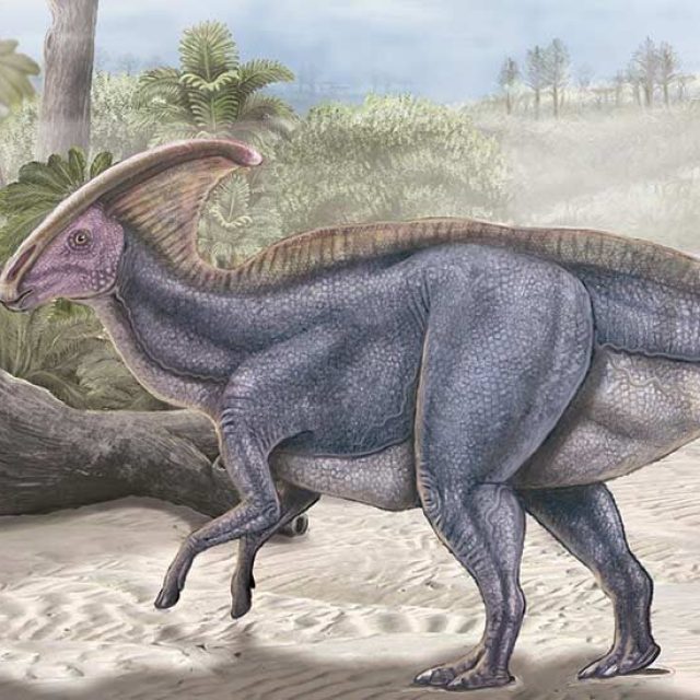 Dinosaurio Parasaurolophus